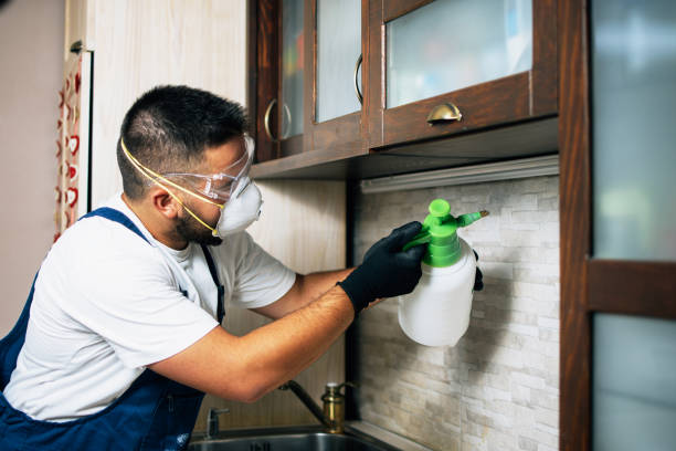 Best Insect Control  in Lexington, TX