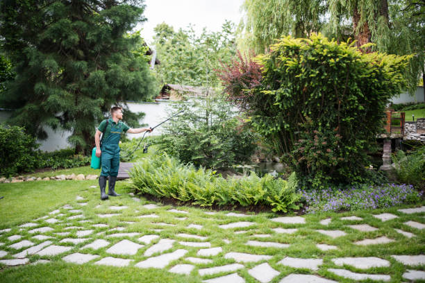 Best Residential Pest Control  in Lexington, TX